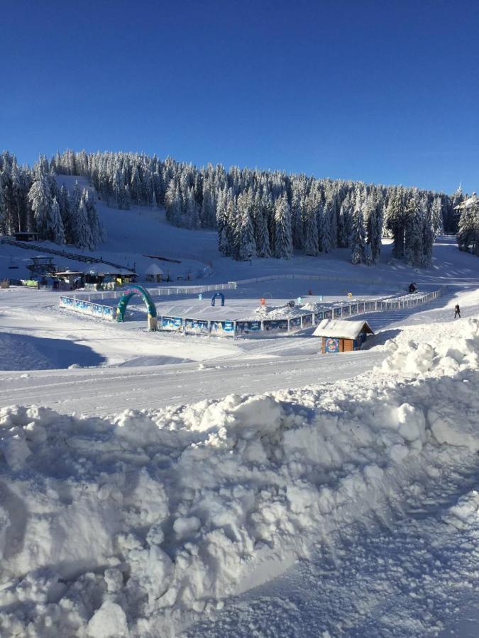 Vila Plan - Centar Kopaonik Daire Dış mekan fotoğraf