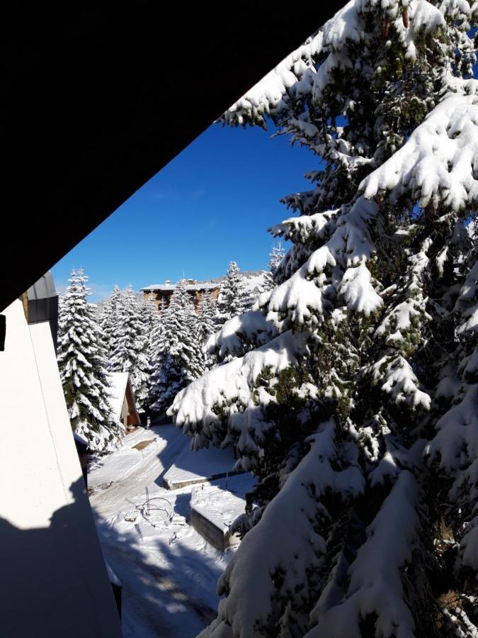 Vila Plan - Centar Kopaonik Daire Dış mekan fotoğraf